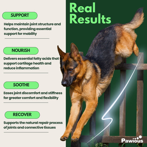 PawVive Calm supplement for dogs - product jar